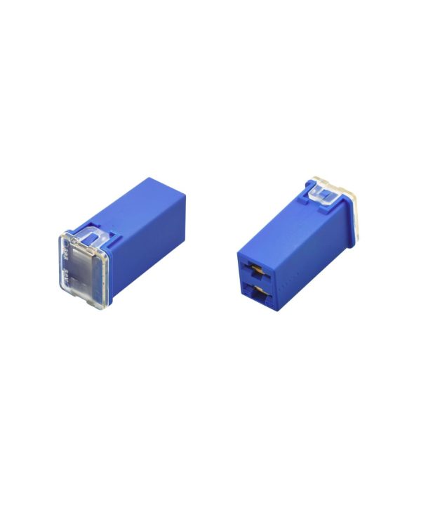 FUSIBILE JCASE MINI FEMM 100 AMPERE 14 BLU