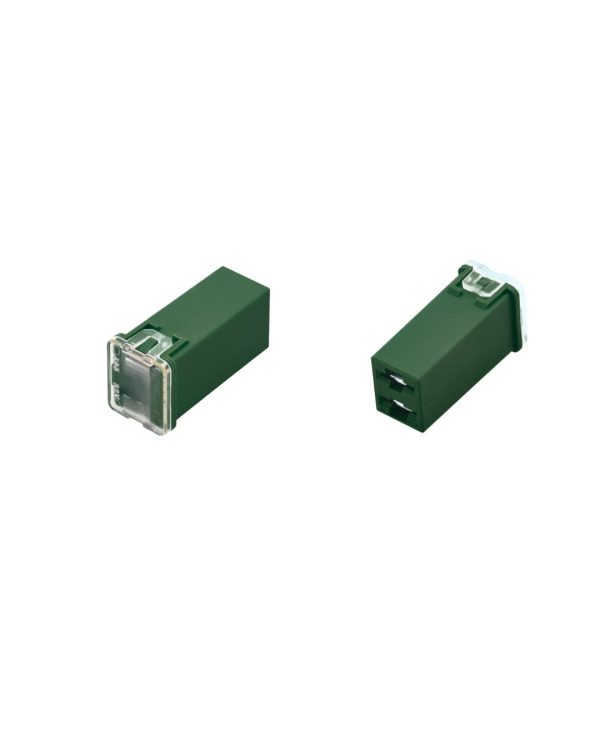 FUSIBILE SERIE F -2938 40 AMPERE VERDE